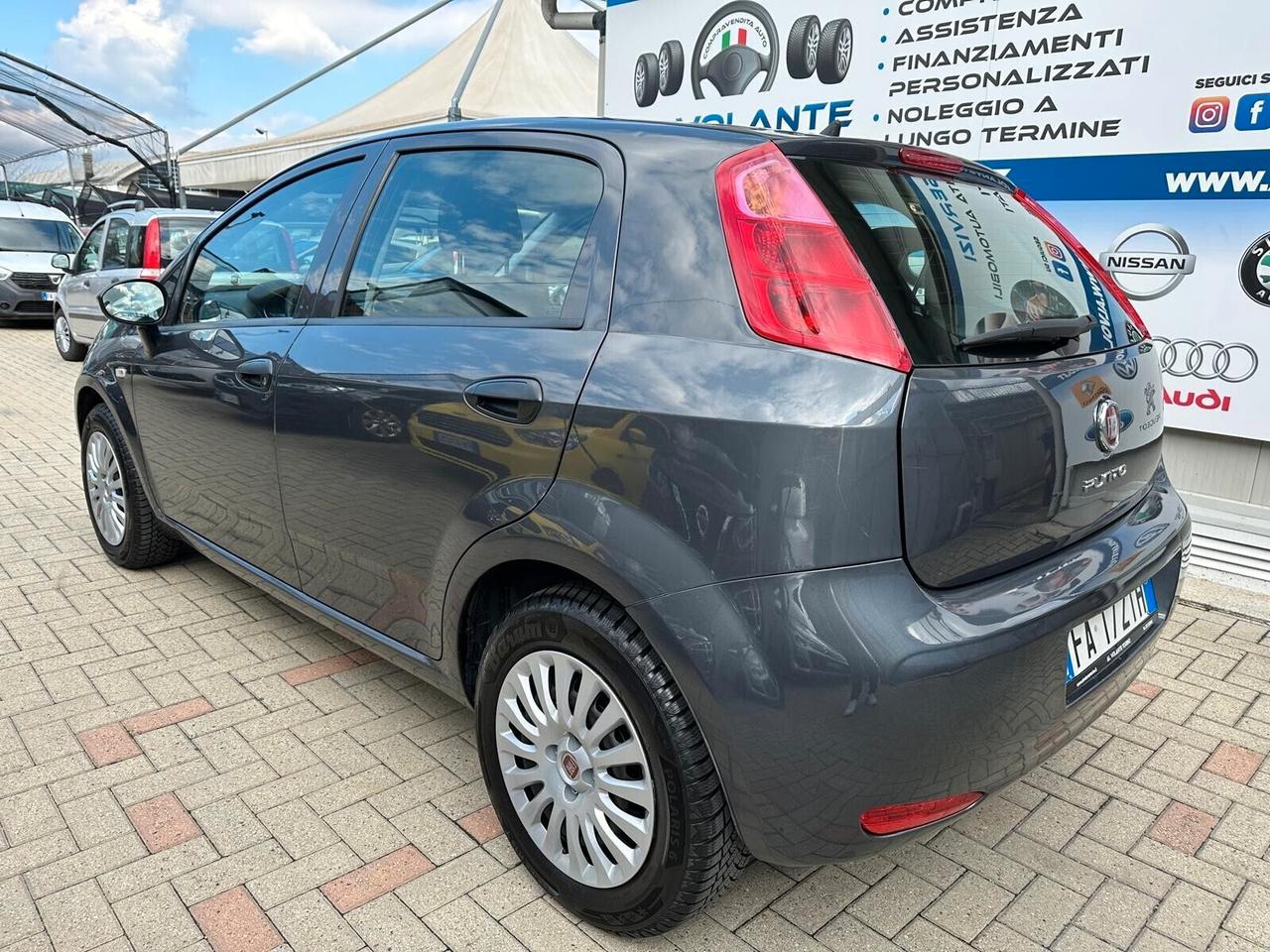 Fiat Punto 1.2 8V 5 porte Street - NeoPatentati