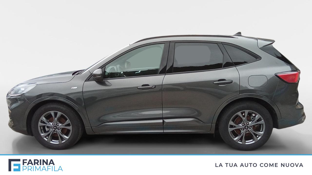 FORD Kuga III 2020 - Kuga 1.5 ecoblue ST-Line 2wd 120cv