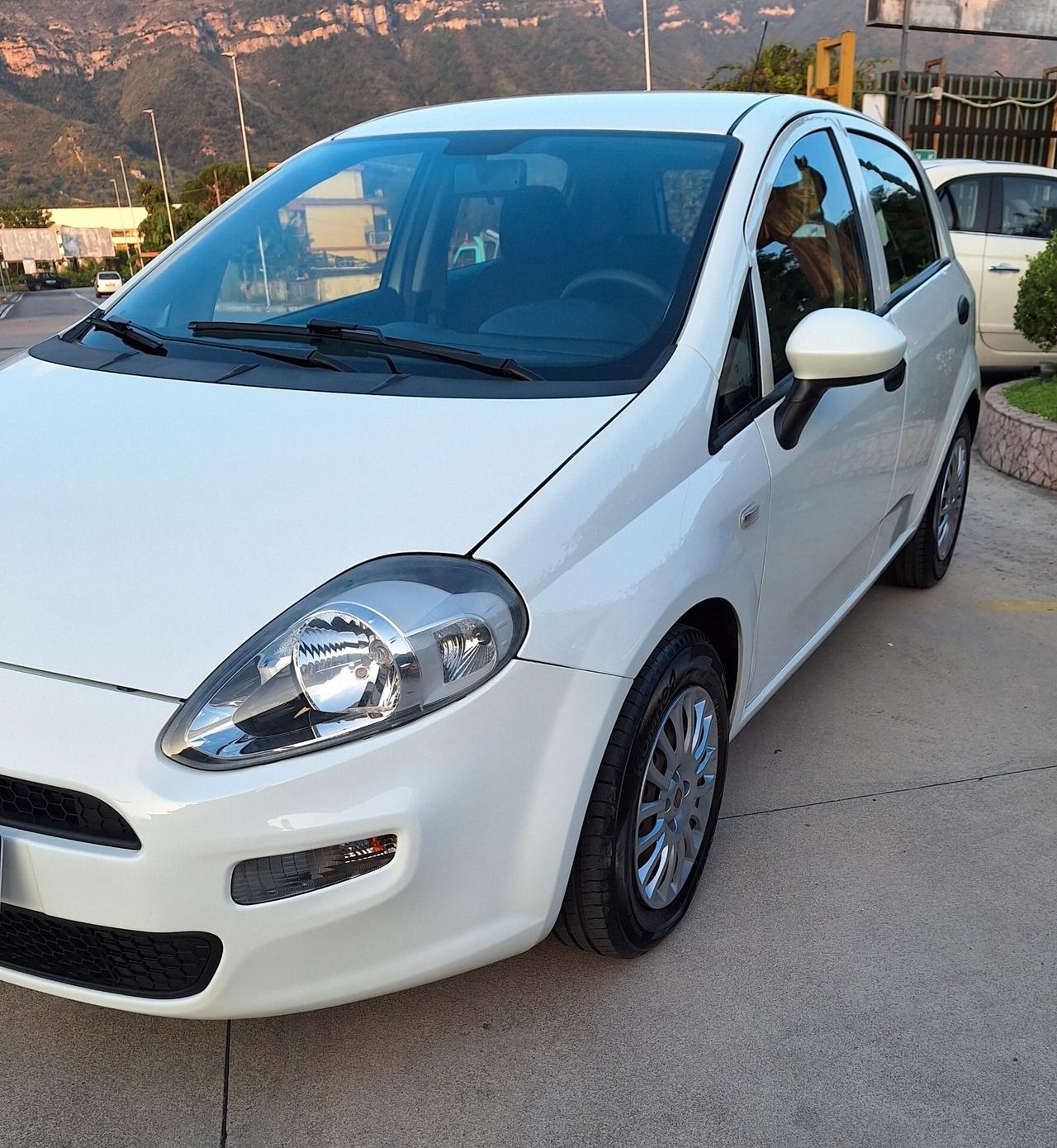 Fiat Punto 1.2 8V 5 porte Street E6 Unico proprietario