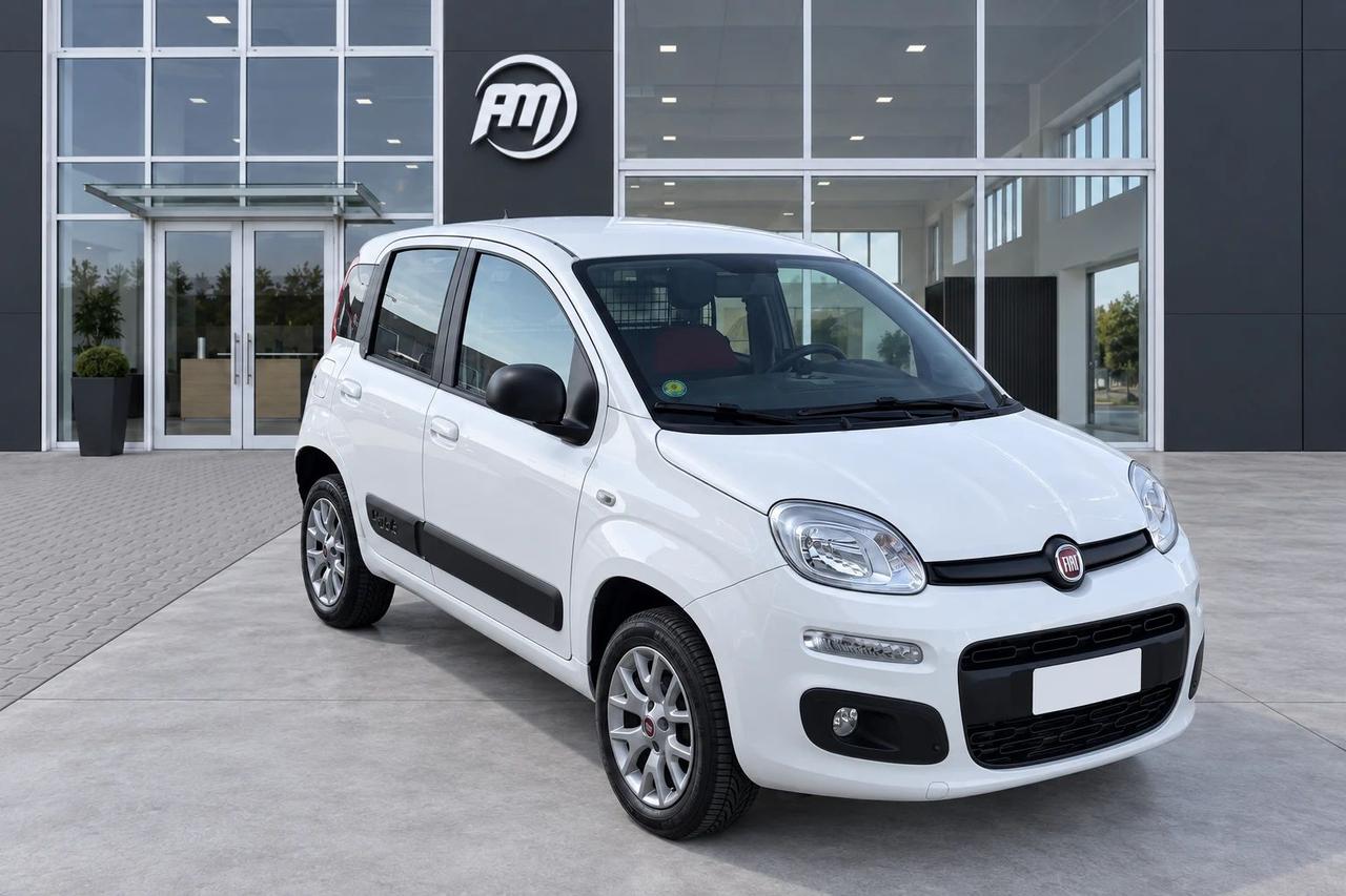 Fiat Panda VAN 1.3 MJT 80 CV 4X4