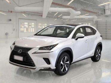 Lexus NX 300 300 2.5 Hybrid Luxury 4WD CVT
