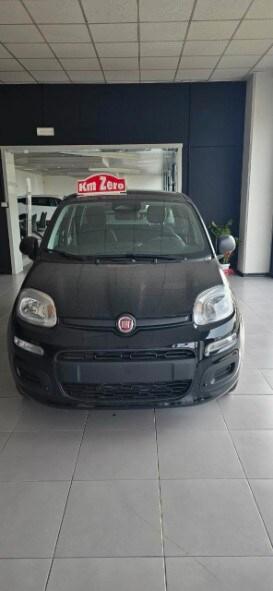 FIAT Panda 3ª serie Panda 1.0 FireFly S&S Hybr...
