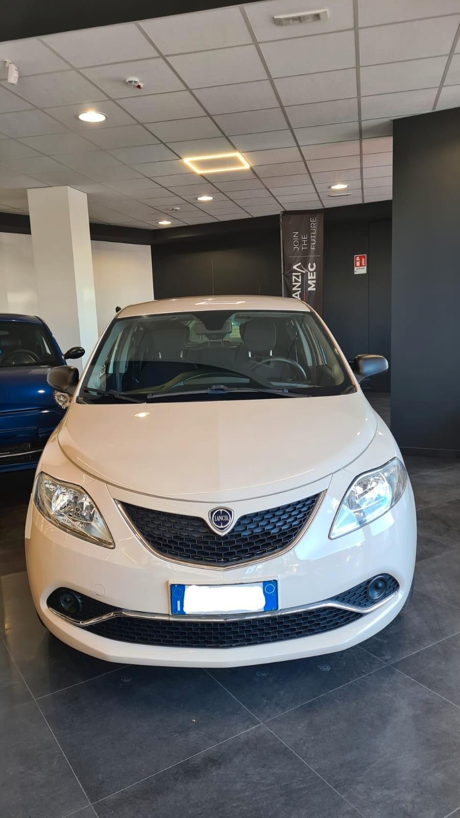 Lancia Ypsilon 1.2 69 CV 5 porte Gold