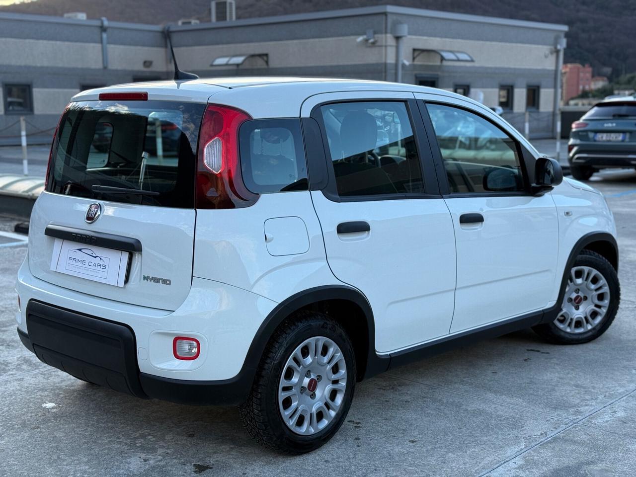 FIAT PANDA 1.0 BENZINA/HYBRID 70cv PERFETTA