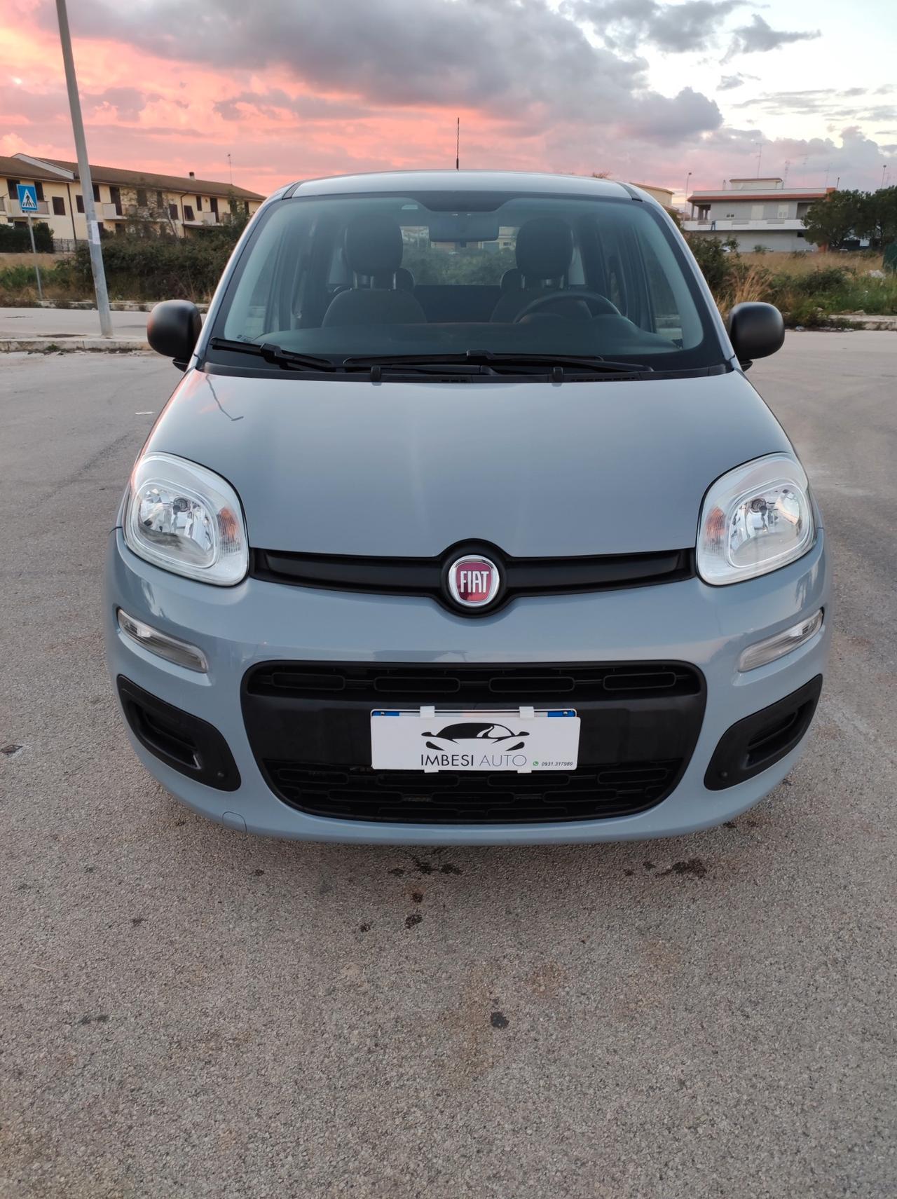 Panda