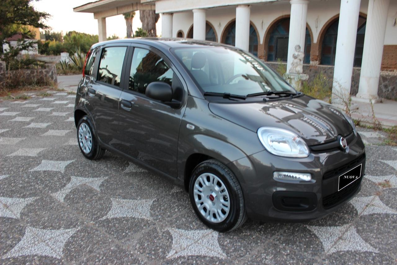 Fiat Panda 1.0 FIREFLY HYBRID CITY LIFE S UFFICIALE ITALIANA