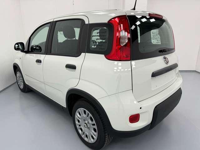 Fiat Panda *PANDINA* 1.0 HYBRID 69CV*CRUISE+SENSORI*ONLYPROMO