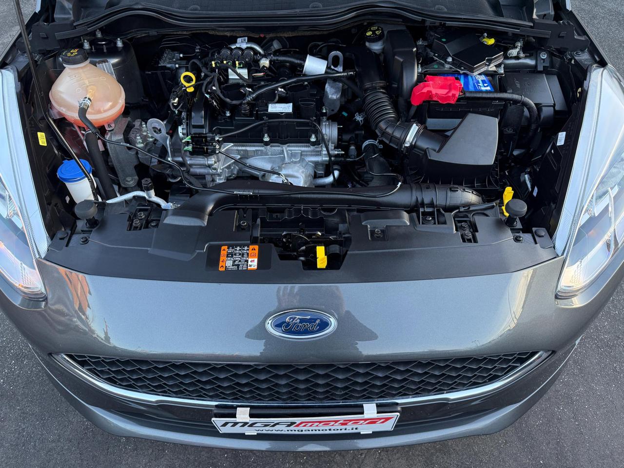 Ford Fiesta 5 Porte Fiesta 5p 1.1 Plus Gpl 75cv