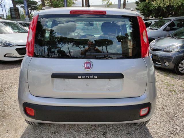 FIAT Panda 1.2 Lounge OK NEOPATENT. CLIMA,FENDINEBBIA ..