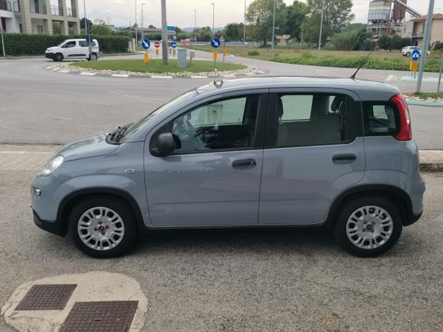 FIAT Panda 1.0 FireFly S&S Hybrid - con SOLO 16mila Km -