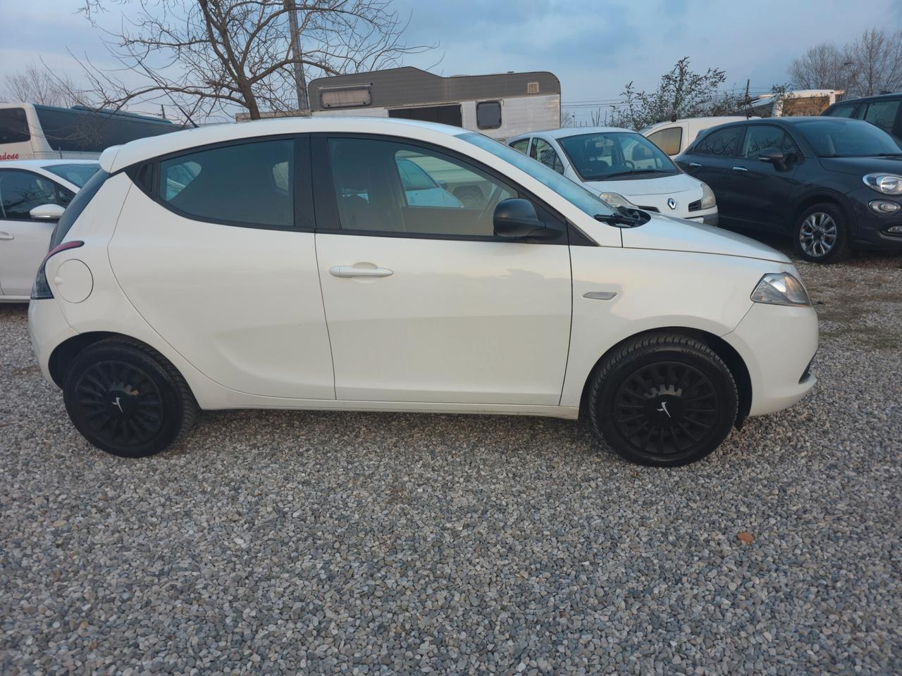 Lancia Ypsilon 1.3 MJT 16V 95 CV 5 porte S&S Platinum