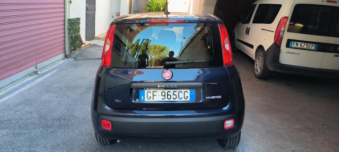 Fiat Panda 1.0 FireFly S&S Hybrid passaggio in omaggio per luglio
