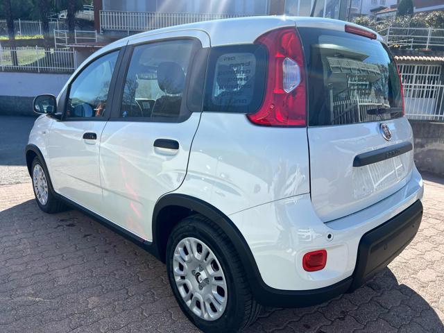 FIAT Panda 1.0 FireFly S&S Hybrid +pack radio sensori 5 posti