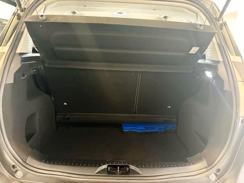 Ford B-Max 1.5 TDCi 75 CV Business Titanium