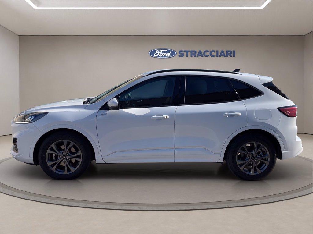 FORD Kuga 2.0 ecoblue ST-Line 2wd 120cv auto del 2024