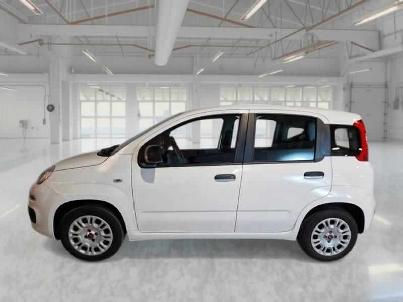 Fiat Panda 1.2 Easy 5 posti