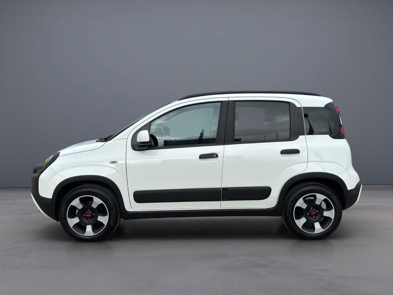 Fiat Panda 1.0 firefly hybrid 70CV Cross