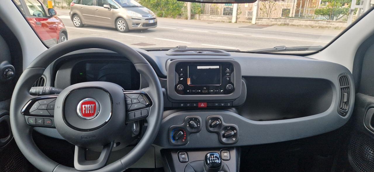 Fiat Panda 1.0 FireFly S&S Hybrid Icon