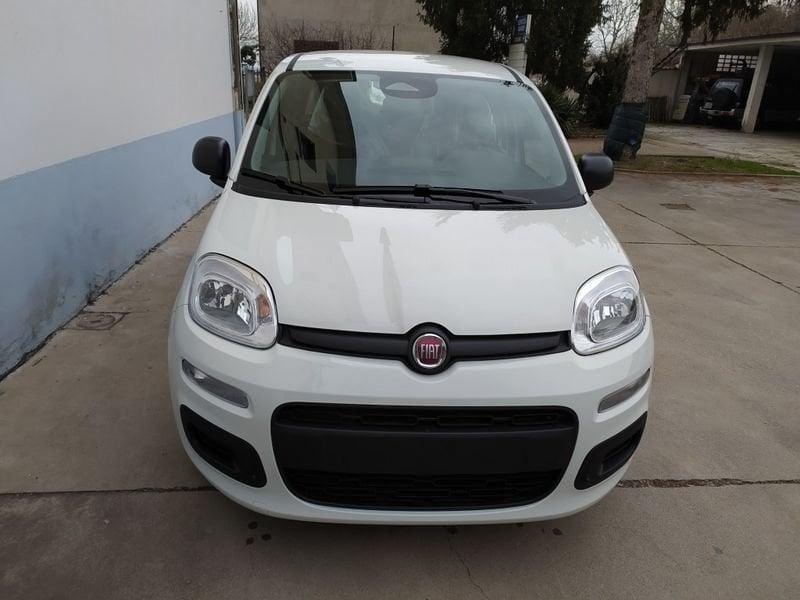 FIAT Panda 1.0 70cv Hybrid Promo CBC 5