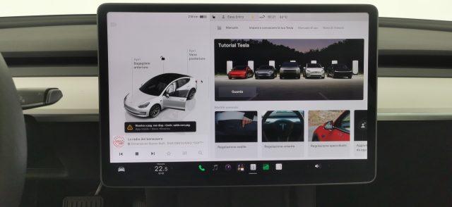 TESLA Model 3 RWD
