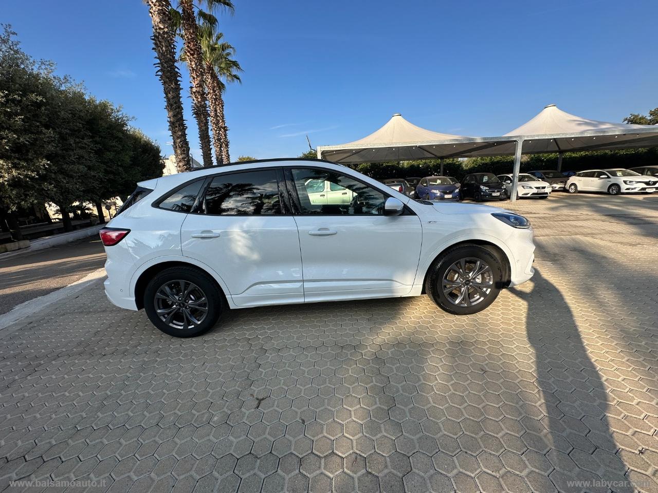 FORD Kuga 1.5 EcoBl. 120CV aut. 2WD ST-Line X