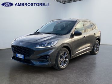 FORD Kuga III 2020 - Kuga 2.5 full hybrid ST-Line 2wd 190cv cvt