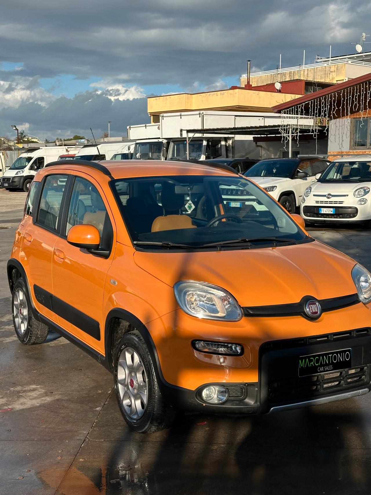 Fiat Panda 4x4 1.3 Mjt