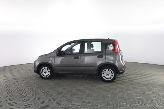 FIAT Panda Panda 1.0 FireFly Hybrid