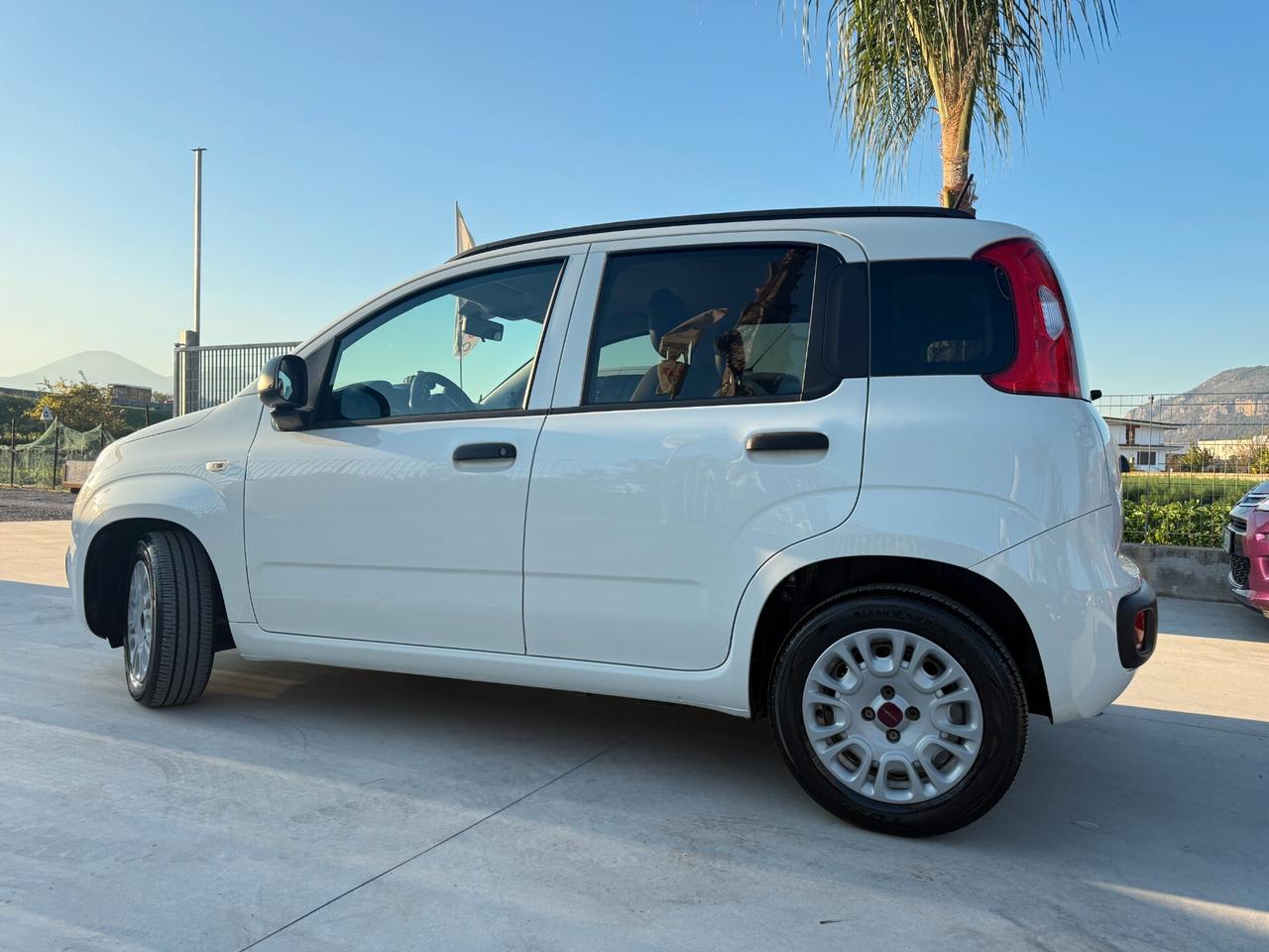FIAT PANDA LOUNGE 2020 1.0 HYBRID 69 CV *98.000 KM