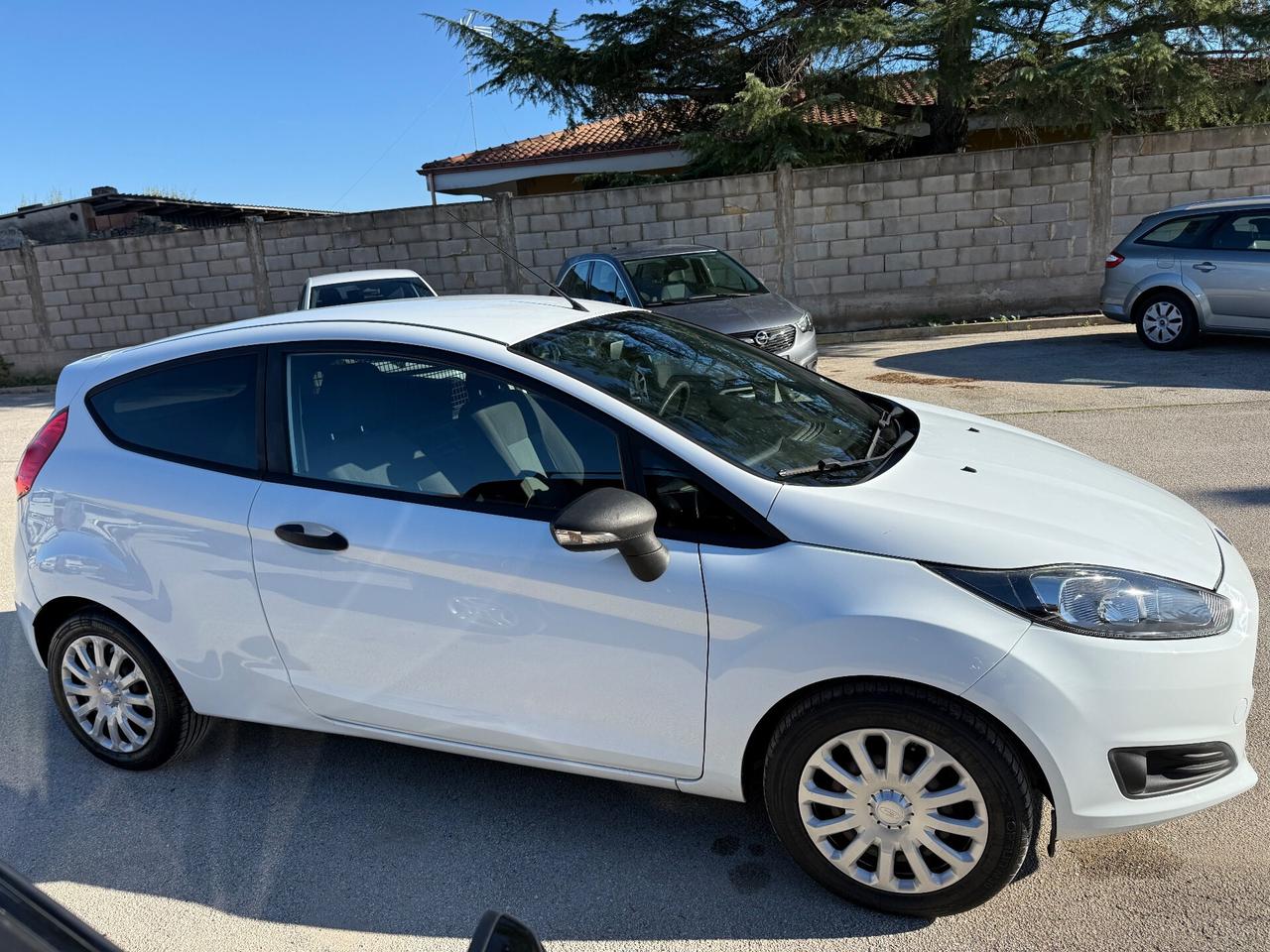Ford Fiesta 1.5 TDCi 75CV 3 porte Van Entry