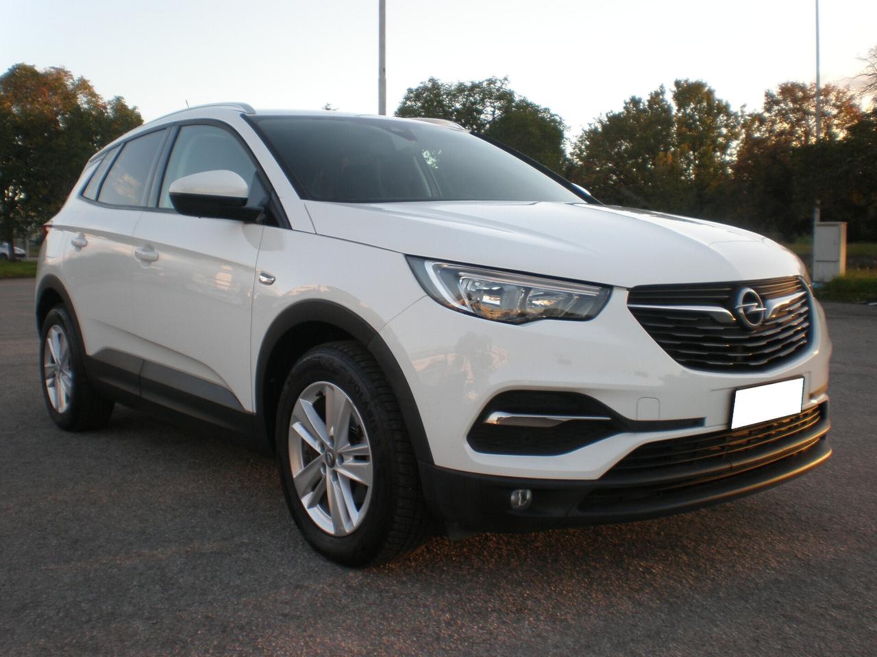 Opel Grandland 1.6 td 120 cv, tagliandi Opel, full