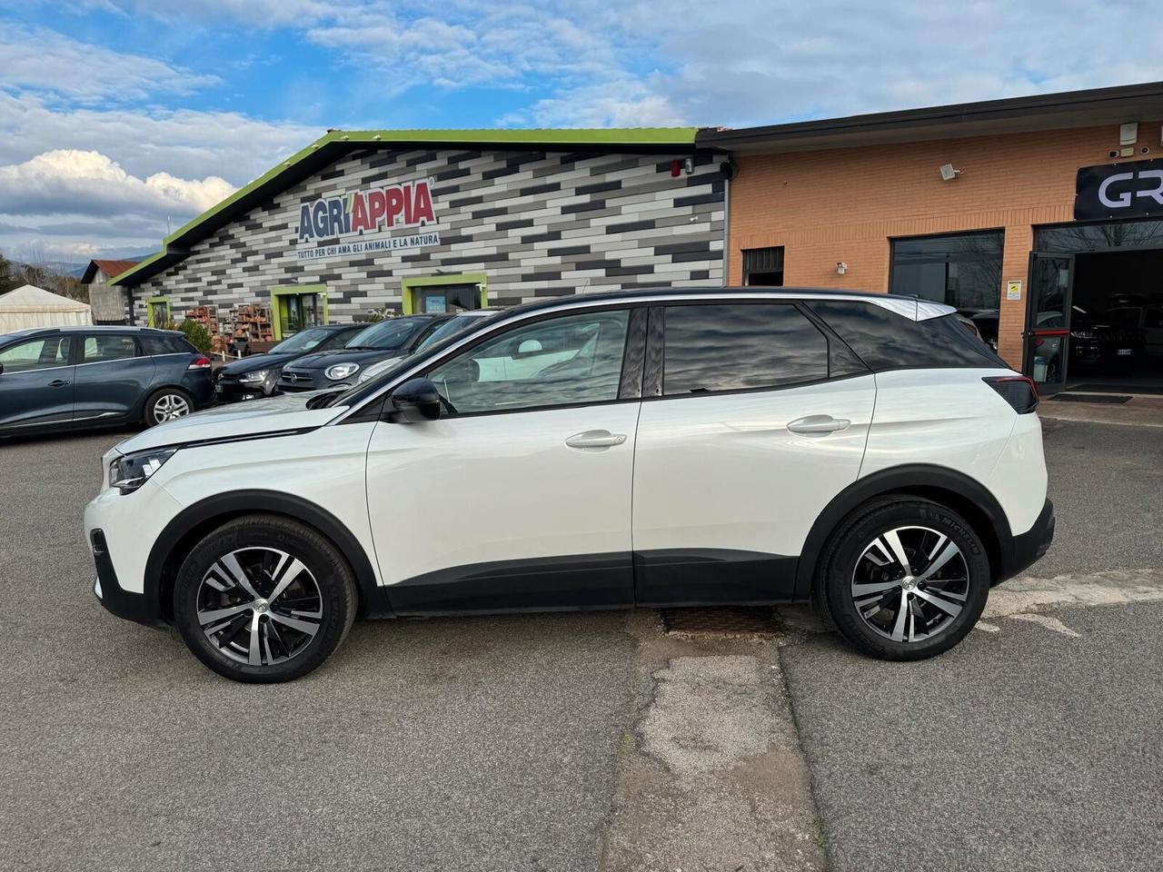 Peugeot 3008 1.6 BLUEHDI 120CV S&S BUSINESS 2017