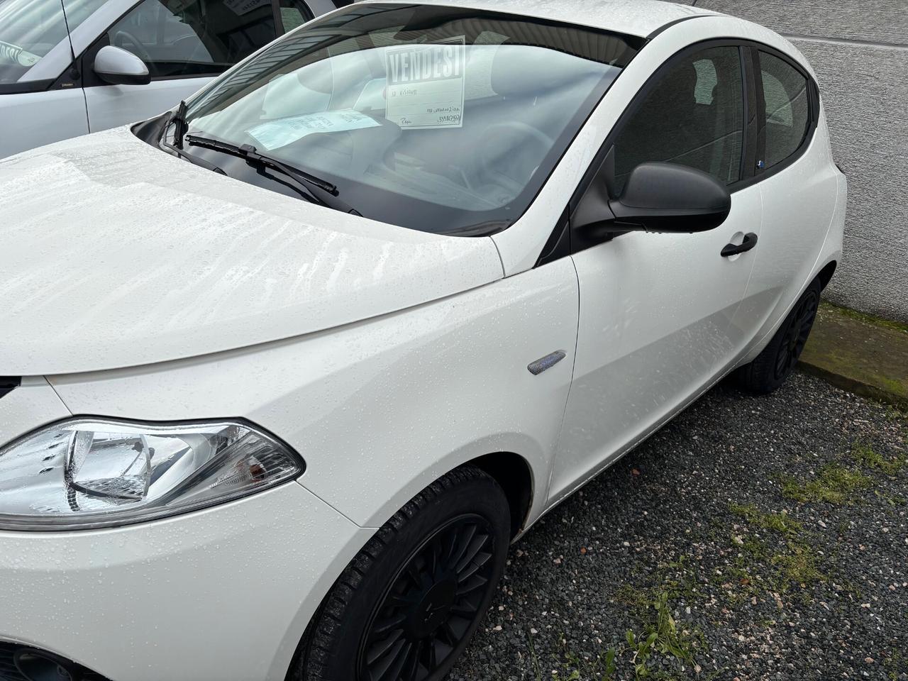 Lancia Ypsilon 1.2 69 CV 5 porte Ecochic Elefantino Blu