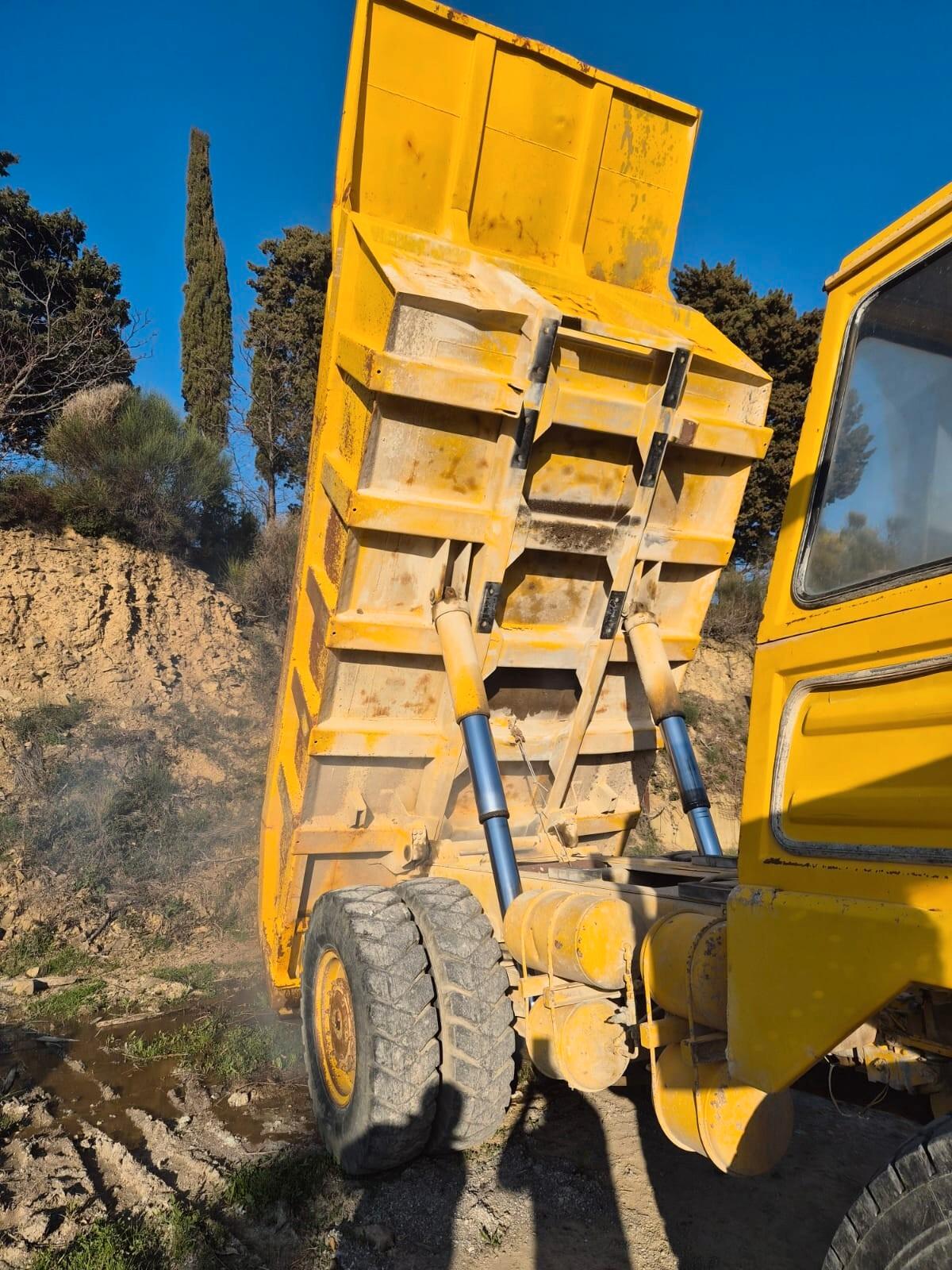 DUMPER PERLINI T 155 Ribaltabile posteriore
