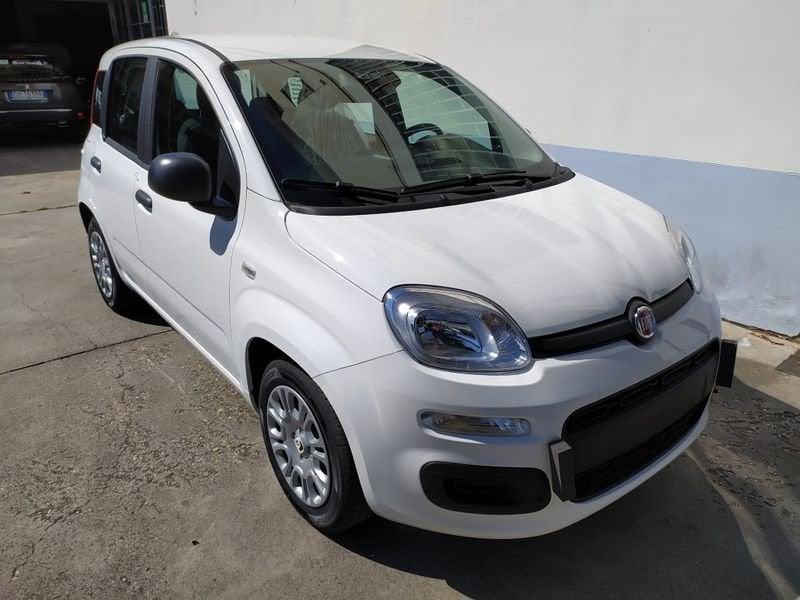 FIAT Pandina 65 Pandina hybrid Icon Promo CBC 5