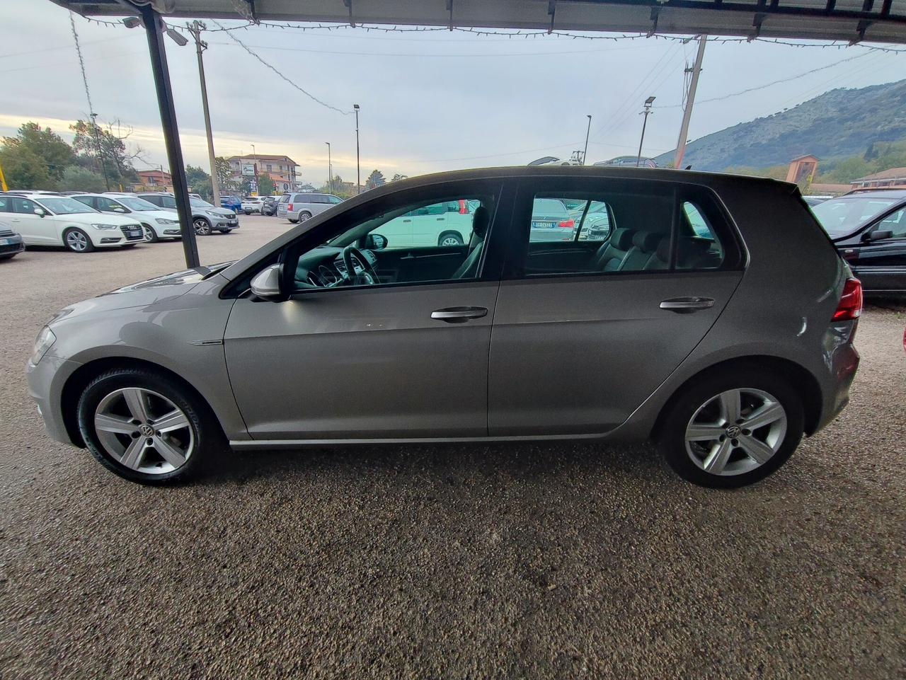Volkswagen Golf Business 1.4 TGI 5p. Highline BlueMotion