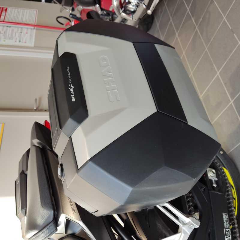 Honda CB 750 Hornet - 2024