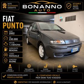 Fiat Punto 1.2i cat 5 porte Verve