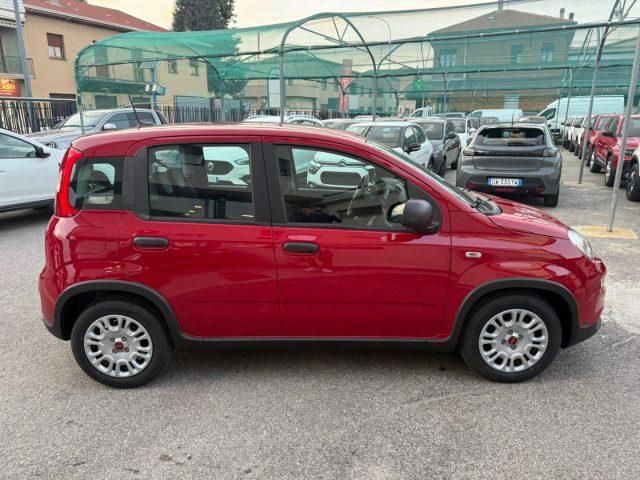 FIAT Panda 1.0 FireFly S&S Hybrid con Pack Comfort