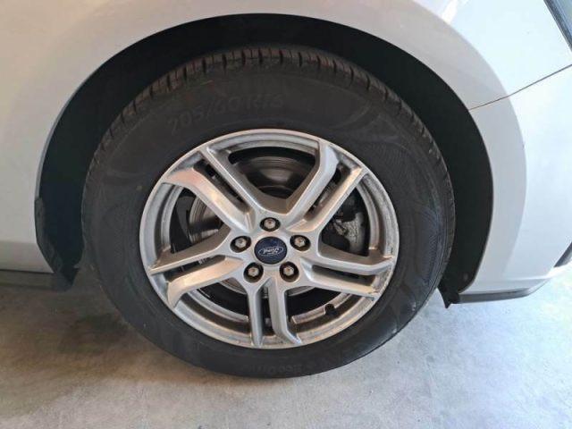 FORD Focus 1.5 EcoBlue 120 CV SW Business
