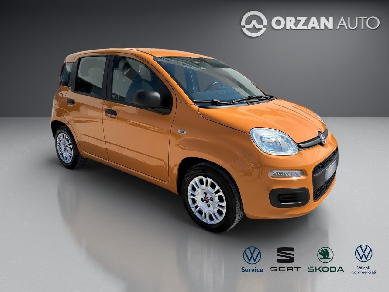 Fiat Panda 1.2 Easy VENDITE 3491558563 - 3478673115