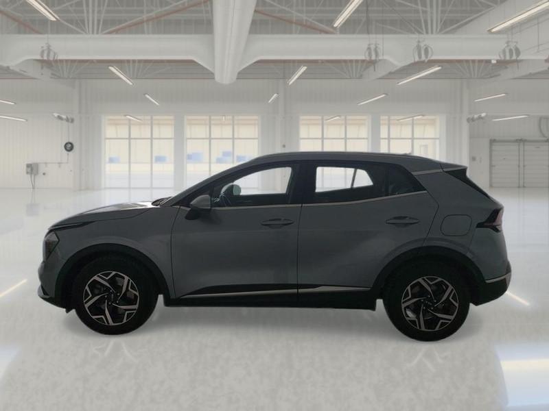 KIA SPORTAGE 1.6 CRDI MHEV BUSINESS 2WD SUV