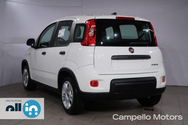 FIAT Panda Panda 1.0 70cv Hybrid Panda My23