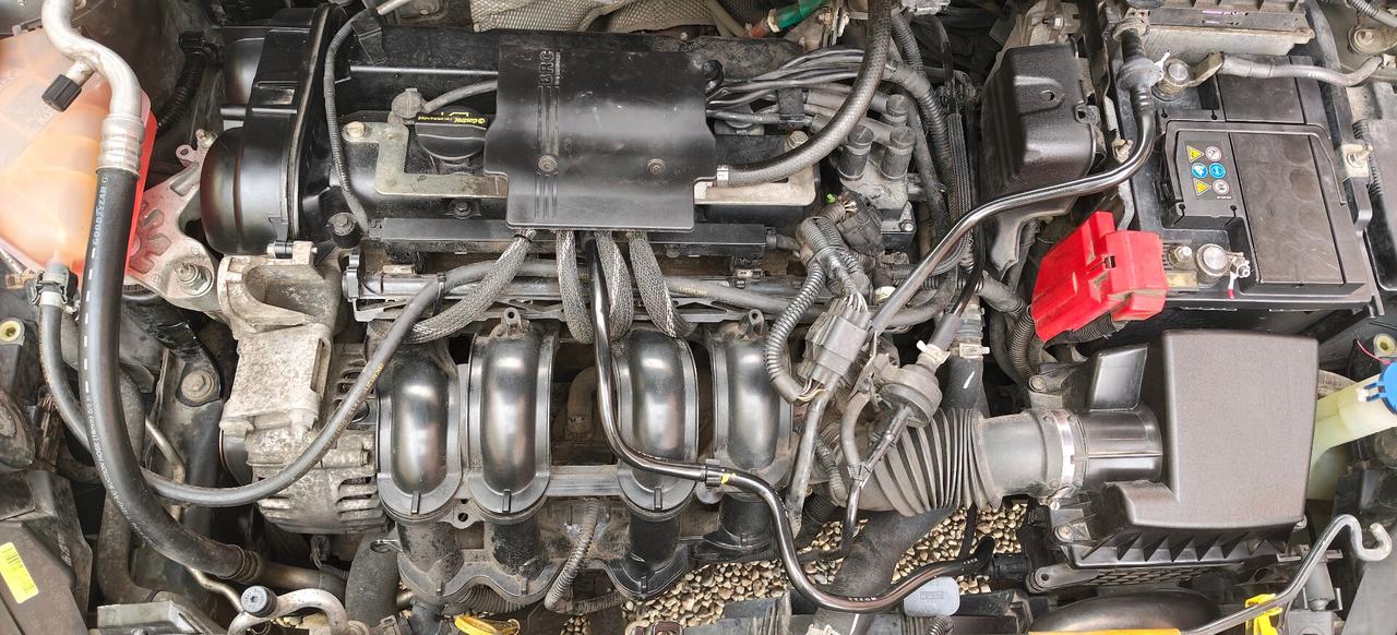 Ford Fiesta 1.4 5p. GPL Titanium