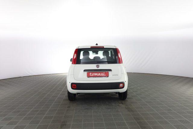 FIAT Panda Pandina 1.0 FireFly 65 CV Hybrid Icon