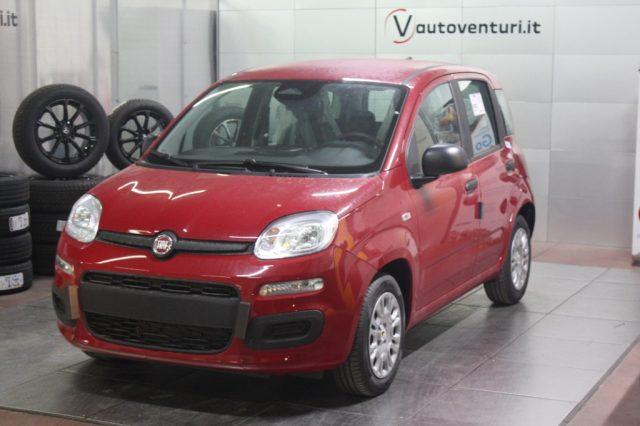 FIAT Panda 1.0 FireFly Hybrid Icon