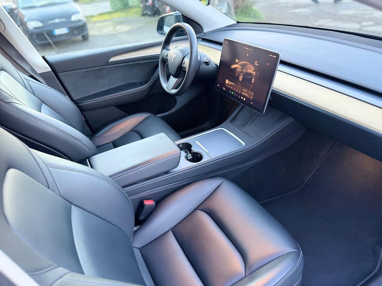 Tesla Model Y Maximum Range / Premium #9286