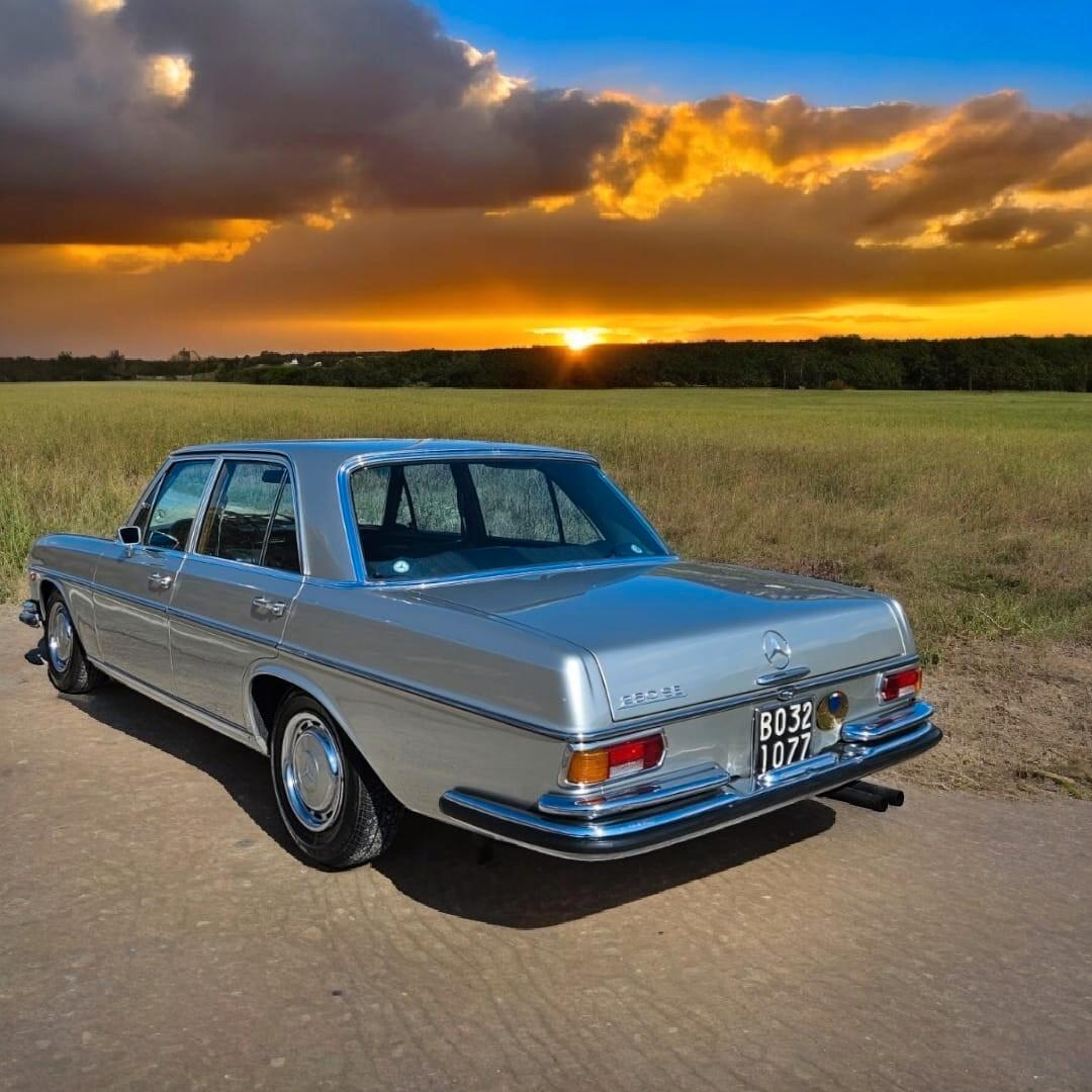 Mercedes Benz 250 SE