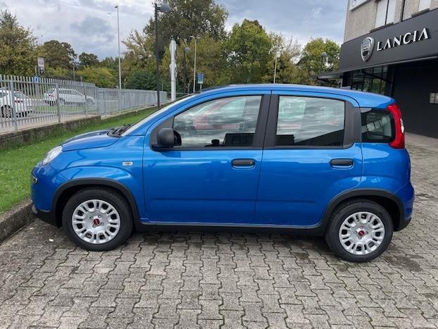 FIAT Panda My24 1.0 70cv Hybrid Panda N70596
