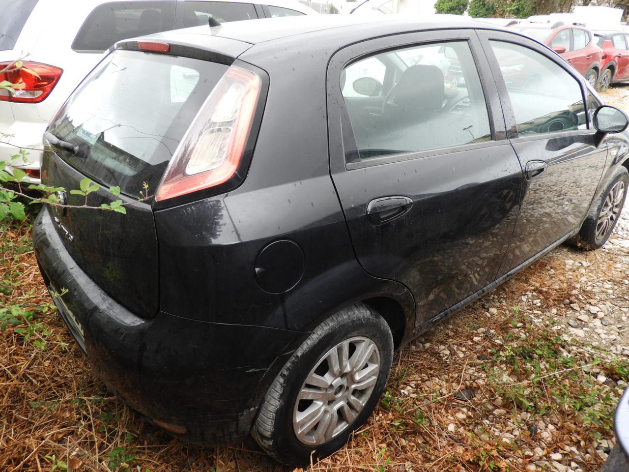 FIAT Punto III 2012 - Punto 5p 1.2 Lounge E6